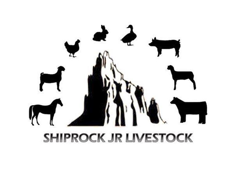 2024 Shiprock Jr Livestock